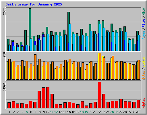 Daily usage for January 2025