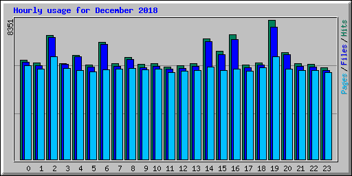 Hourly usage for December 2018