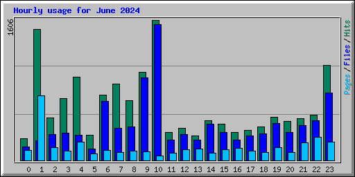 Hourly usage for June 2024