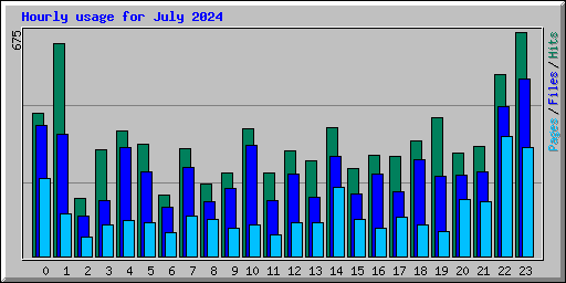 Hourly usage for July 2024
