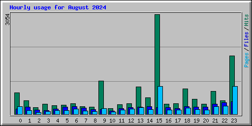 Hourly usage for August 2024