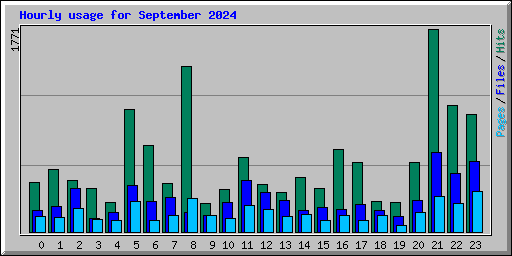 Hourly usage for September 2024