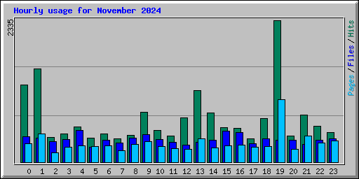 Hourly usage for November 2024
