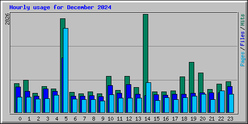Hourly usage for December 2024