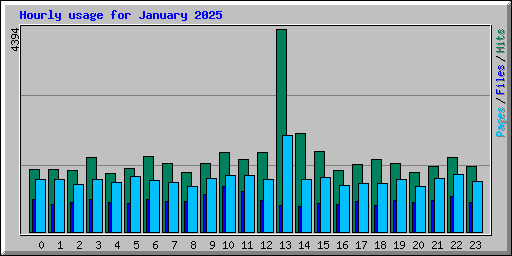 Hourly usage for January 2025
