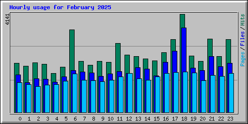 Hourly usage for February 2025