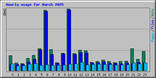 Hourly usage for March 2025