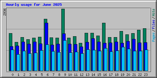 Hourly usage for June 2025